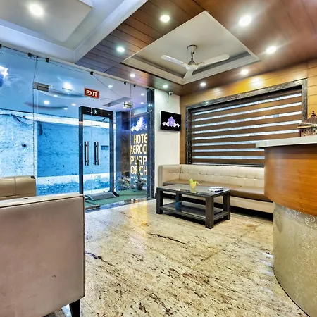 Hotel Aerocity Purple Orchid-2